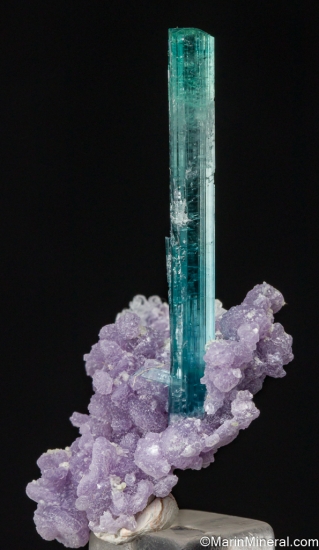 Tourmaline on Lepidolite from Golconda Mine, Minas Gerais, Brazil [db_pics/pics/LL843b.jpg]