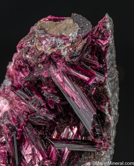 Erythrite from Bou Azzer Mine, Ouarzazate Province, Draa-Tafilalet Region, Morocco [db_pics/pics/LL851d.jpg]