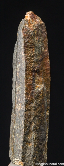 Andalusite var. Chiastolite from Lancaster, Worcester Co., Massachusetts, USA [db_pics/pics/LL860a.jpg]