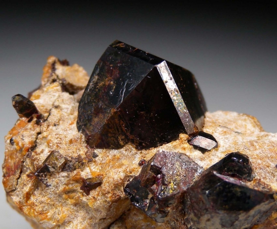 Rutile from Champion Mine, White Mountains, Mono Co., California, USA [db_pics/pics/LL864d.jpg]