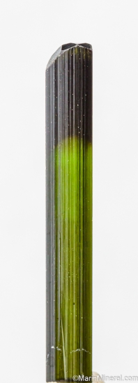 Tourmaline from St. Anne's Mine, Miami, Karoi District, Zimbabwe [db_pics/pics/LL870c.jpg]