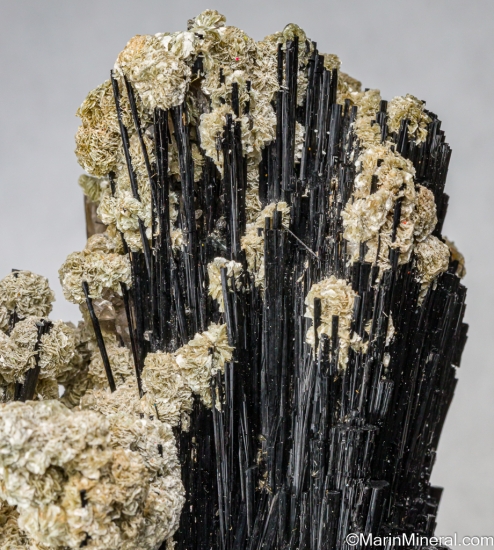 Schorl from Thompson Peak, Plumas Co., California, USA [db_pics/pics/LL880d.jpg]