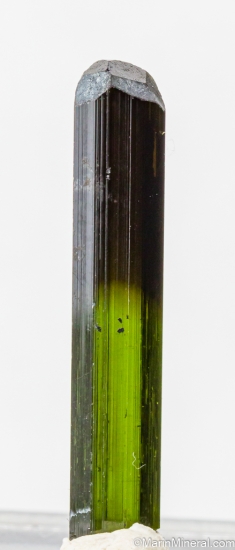 Tourmaline from St. Anne's Mine, Miami, Karoi District, Zimbabwe [db_pics/pics/LL902a.jpg]