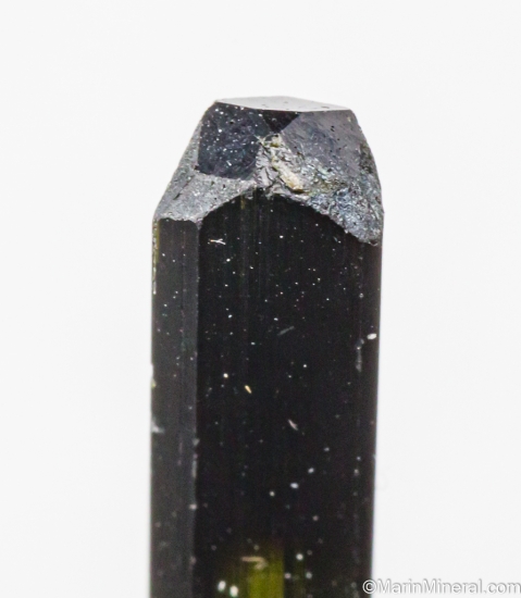Tourmaline from St. Anne's Mine, Miami, Karoi District, Zimbabwe [db_pics/pics/LL903c.jpg]