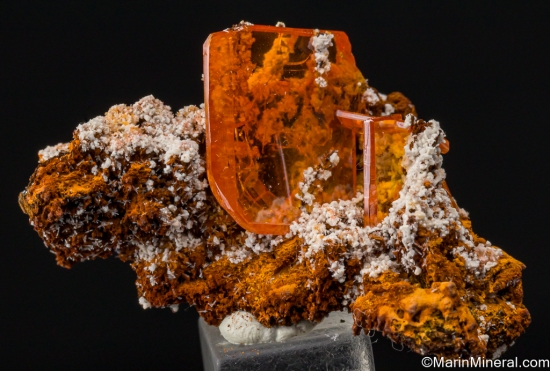 Wulfenite from Los Lamentos, Chihuahua, Mexico [db_pics/pics/LL916b.jpg]