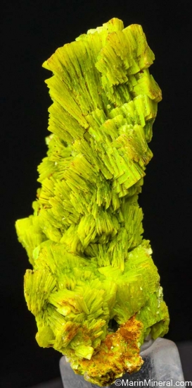 Uranocircite from SÃ£o Pedro claim, Malacacheta, Minas Gerais, Brazil [db_pics/pics/LL918b.jpg]