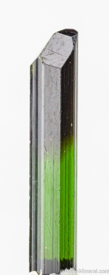 Tourmaline from St. Anne's Mine, Miami, Karoi District, Zimbabwe [db_pics/pics/LL943a.jpg]