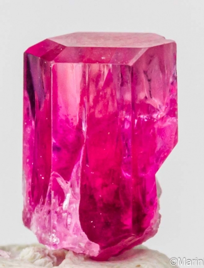 Red Beryl from Violet Claims, Wah Wah Mountains, Beaver Co., Utah, USA [db_pics/pics/LL956b.jpg]