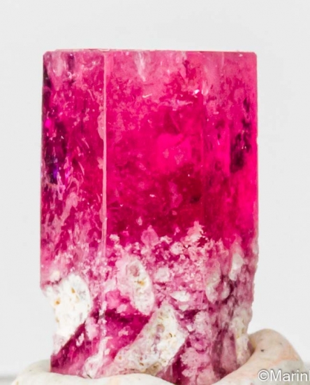 Red Beryl from Violet Claims, Wah Wah Mountains, Beaver Co., Utah, USA [db_pics/pics/LL958a.jpg]