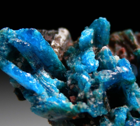 Caledonite from Mammoth-Saint Anthony Mine, Tiger, Pinal Co., Arizona, USA [db_pics/pics/LL974b.jpg]