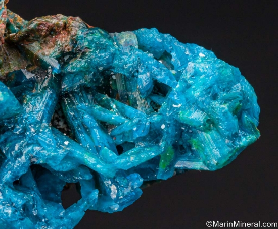 Caledonite from Mammoth-Saint Anthony Mine, Tiger, Pinal Co., Arizona, USA [db_pics/pics/LL974c.jpg]