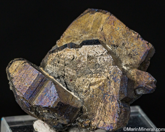 Bournonite from Machacamara District, Potosi Dept., Bolivia [db_pics/pics/LL981a.jpg]