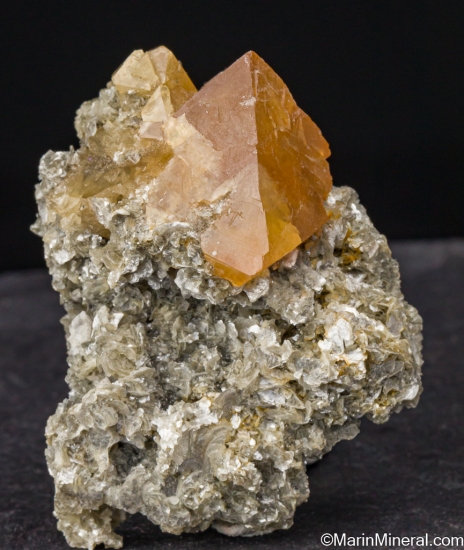 Scheelite on Muscovite from Mt Xuebaoding, Ping Wu, Sichuan Prov., China [db_pics/pics/LL991b.jpg]