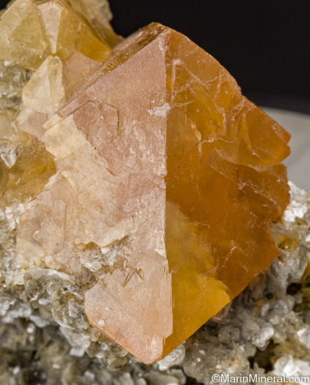 Scheelite on Muscovite from Mt Xuebaoding, Ping Wu, Sichuan Prov., China [db_pics/pics/LL991c.jpg]