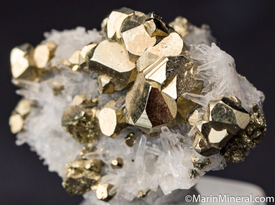 Pyrite with Quartz from King Co., Washington, USA [db_pics/pics/M212b.jpg]