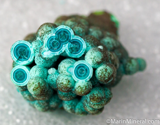 Chrysocolla stalactites from Kelly Mine, Magdalena, New Mexico, USA [db_pics/pics/M223b.jpg]