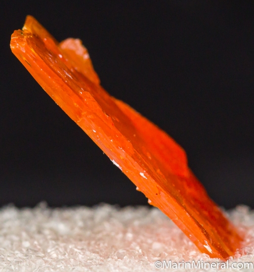 Wulfenite from Old Yuma Mine, Pima Co., Arizona, USA [db_pics/pics/M240c.jpg]