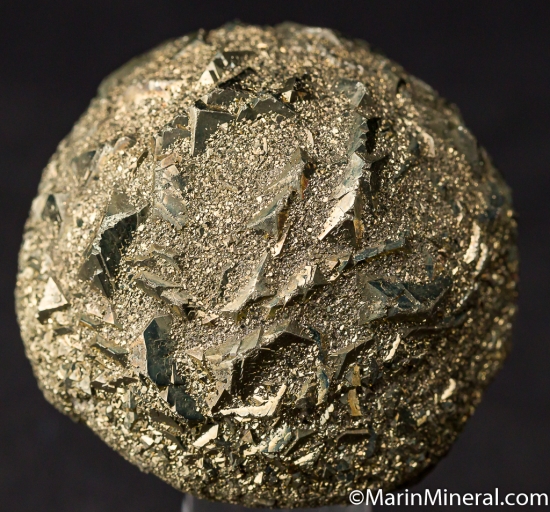 Pyrite after Clam from Indianapolis, Indiana, USA [db_pics/pics/M276a.jpg]
