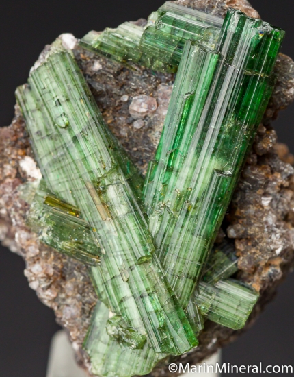 Tourmaline on Lepidolite from Santa Rosa Mine, Minas Gerais, Brazil [db_pics/pics/M297c.jpg]