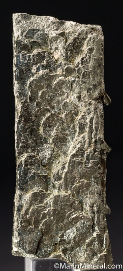 Pyrite 'bar' from Buick Mine, Iron Co., Missouri, USA [db_pics/pics/M332d.jpg]