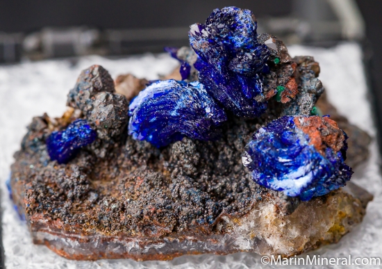 Azurite from Morenci Mine, Arizona, USA [db_pics/pics/M349a.jpg]