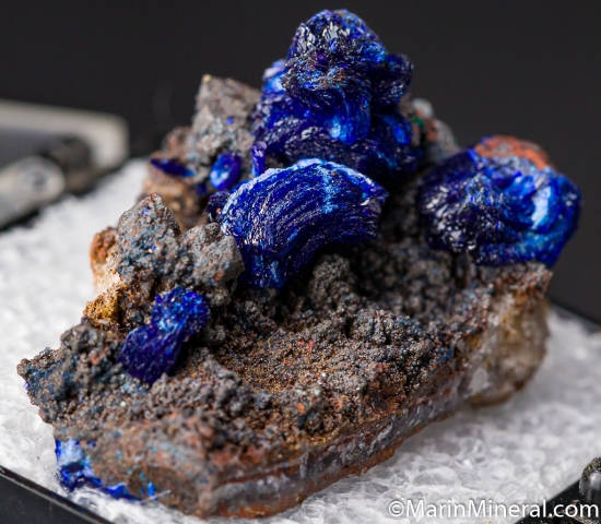 Azurite from Morenci Mine, Arizona, USA [db_pics/pics/M349b.jpg]