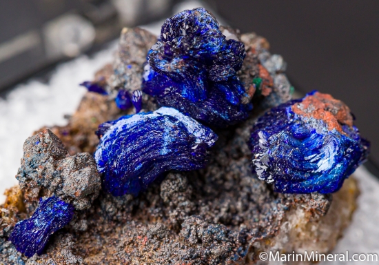 Azurite from Morenci Mine, Arizona, USA [db_pics/pics/M349c.jpg]
