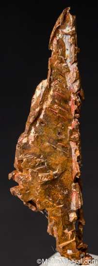 Copper from Ajo, Pima Co., Arizona, USA [db_pics/pics/M391c.jpg]