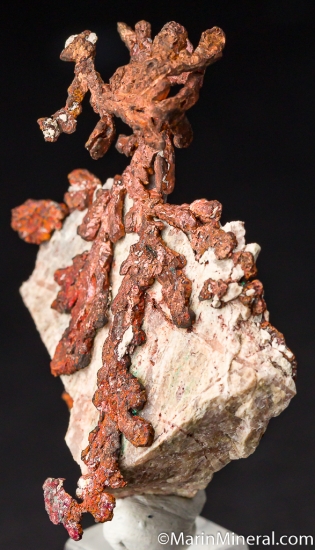 Copper from Ray Mine, Arizona, USA [db_pics/pics/M394b.jpg]