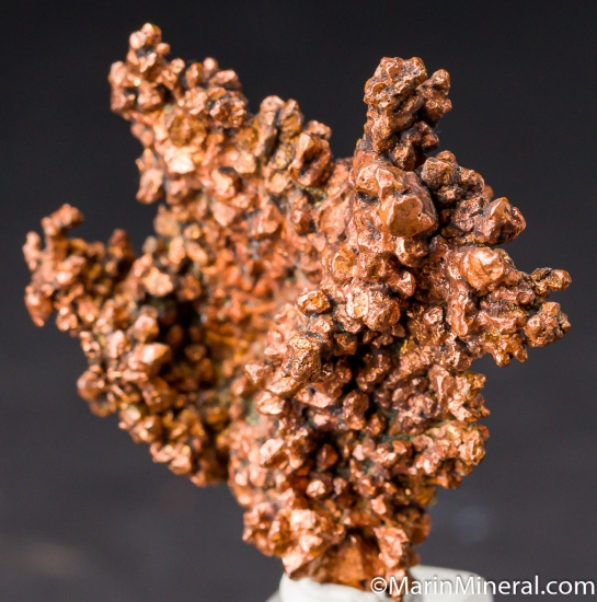 Copper from Cole Shaft, Copper Queen Mine, Bisbee, Arizona, USA [db_pics/pics/M403b.jpg]