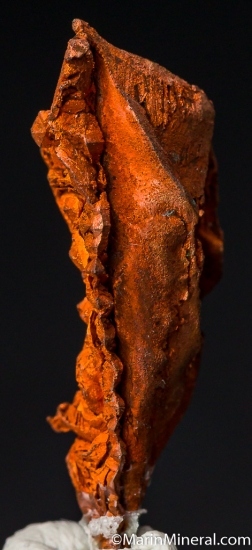 Copper from Ray Mine, Arizona, USA [db_pics/pics/M418b.jpg]