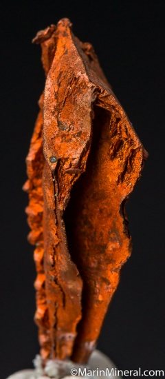 Copper from Ray Mine, Arizona, USA [db_pics/pics/M418c.jpg]