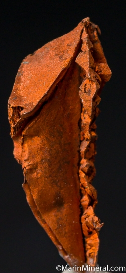 Copper from Ray Mine, Arizona, USA [db_pics/pics/M418d.jpg]