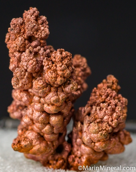 Copper from Tiger, Pinal Co., Arizona, USA [db_pics/pics/M422b.jpg]