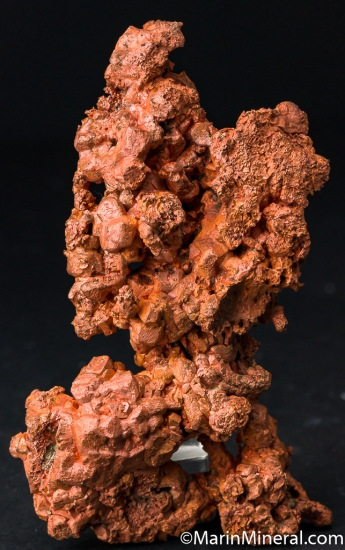 Copper from Ajo, Pima Co., Arizona, USA [db_pics/pics/M483a.jpg]
