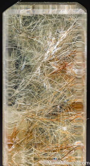 Tremolite in Quartz from Japan [db_pics/pics/M605c.jpg]