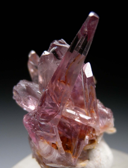 Diaspore from Milas, Mugla Prov., Turkey [db_pics/pics/M648a.jpg]