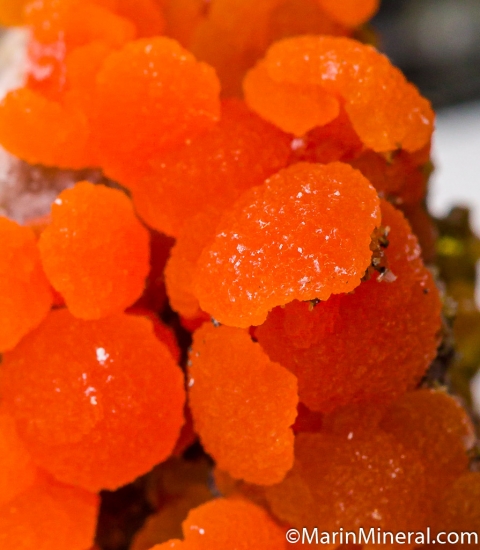 Mimetite with Wulfenite from San Francisco Mine, Sonora, Mexico [db_pics/pics/M786d.jpg]