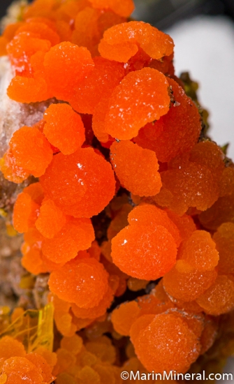 Mimetite with Wulfenite from San Francisco Mine, Sonora, Mexico [db_pics/pics/M786e.jpg]