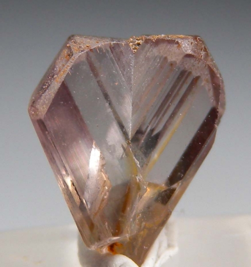 Diaspore from Milas, Mugla Prov., Turkey [db_pics/pics/M811a.jpg]