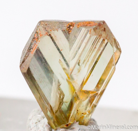 Diaspore from Milas, Mugla Prov., Turkey [db_pics/pics/M811c.jpg]