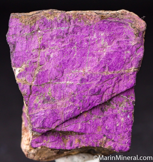 Purpurite from Usakos, Namibia [db_pics/pics/M825a.jpg]
