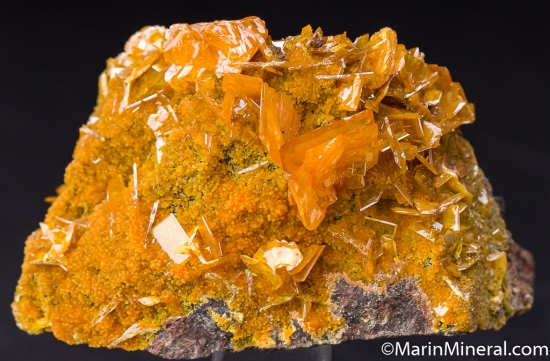 Wulfenite with Mimetite from San Francisco Mine, Sonora, Mexico [db_pics/pics/M826a.jpg]