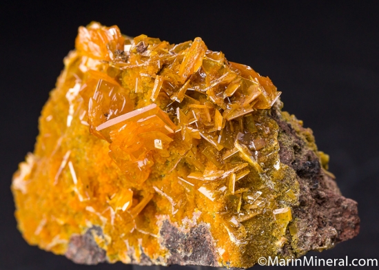 Wulfenite with Mimetite from San Francisco Mine, Sonora, Mexico [db_pics/pics/M826b.jpg]