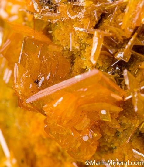 Wulfenite with Mimetite from San Francisco Mine, Sonora, Mexico [db_pics/pics/M826c.jpg]