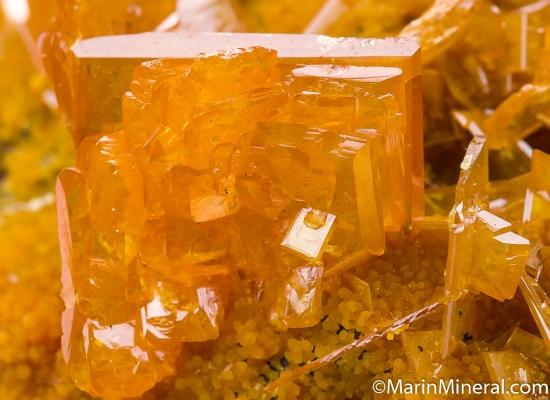 Wulfenite with Mimetite from San Francisco Mine, Sonora, Mexico [db_pics/pics/M826e.jpg]
