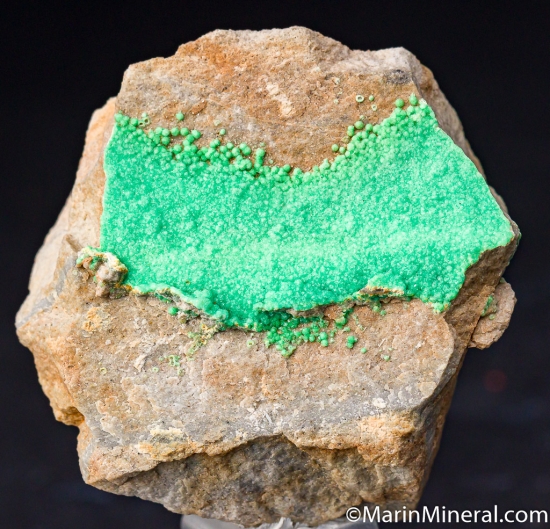 Variscite from Avant, Garland Co., Arkansas, USA [db_pics/pics/M833a.jpg]