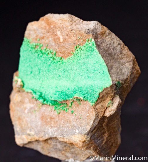 Variscite from Avant, Garland Co., Arkansas, USA [db_pics/pics/M833b.jpg]