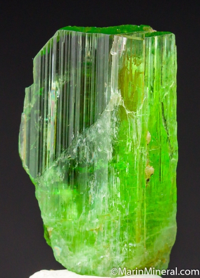 Chrome Tremolite from Merelani Hills, Arusha, Tanzania [db_pics/pics/M854c.jpg]
