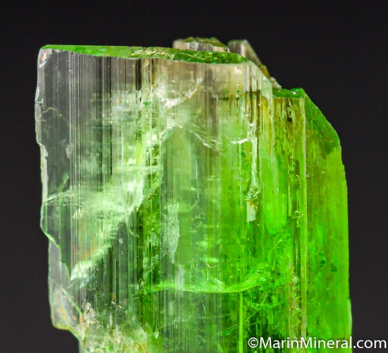 Chrome Tremolite from Merelani Hills, Arusha, Tanzania [db_pics/pics/M855d.jpg]